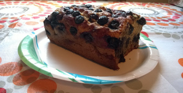 Blueberry Coffee Cake Loaf