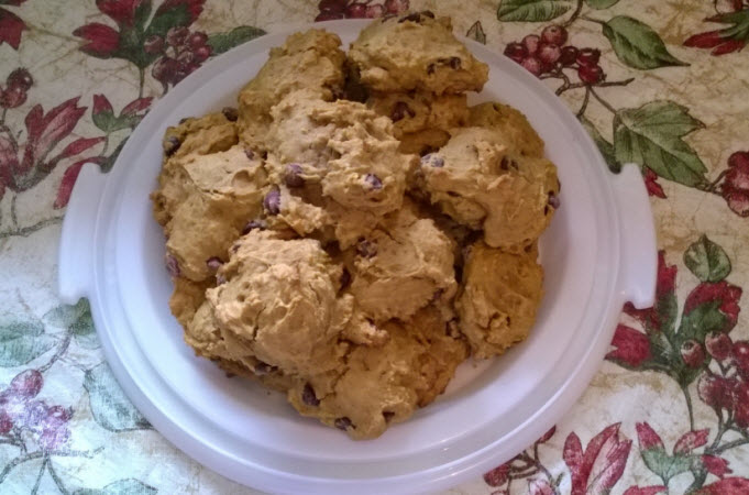 Pumpkin Chocolate Chip Cookies