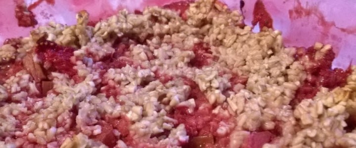 strawberry-rhubarb-crisp-no-sugar